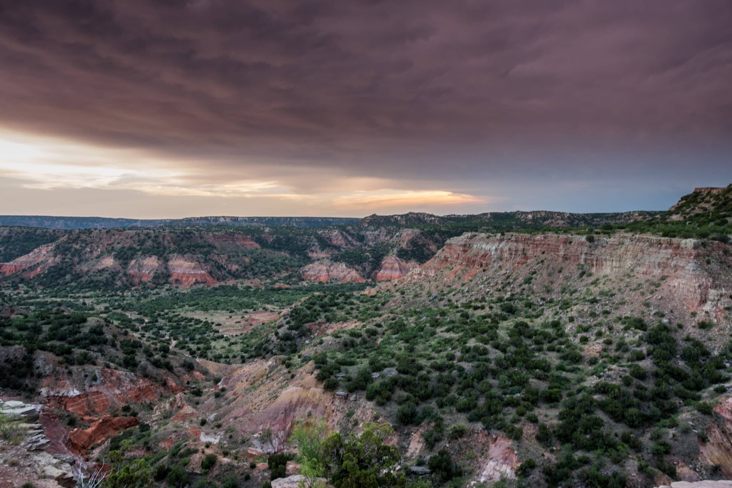 Artificial grass in Copper Canyon, TX