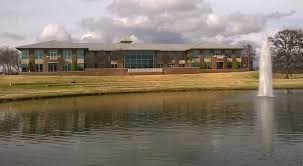 Artificial grass services in Keller, TX