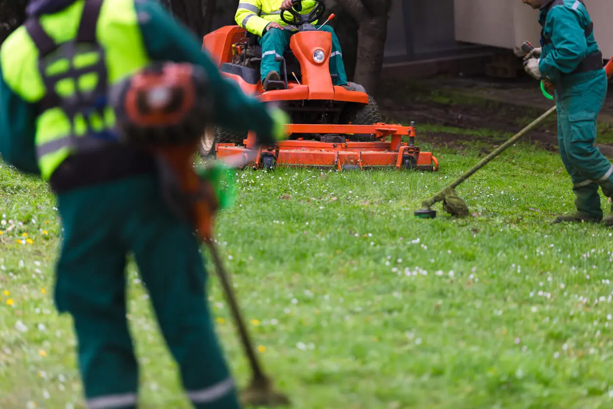 Artificial Grass Cleaning